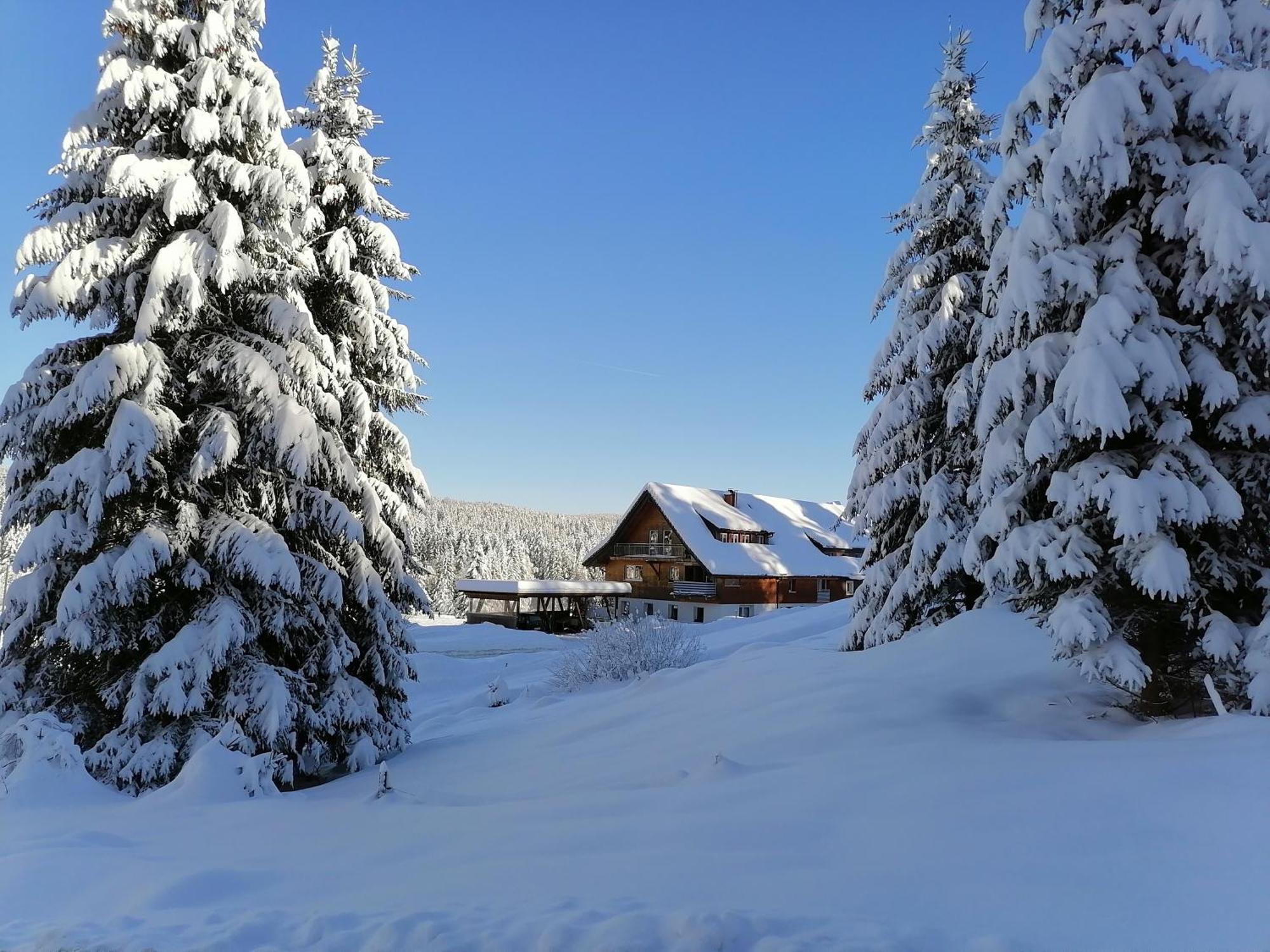 Ferienwohnung Heustueble Hinterzarten Exterior foto